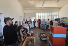 Boosting Beekeeping in Tamaulipas: UAT and Rural Development Secretariat Diploma Course Expands to Nuevo Laredo and Altamira