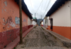Journey to the Coast of Chiapas I