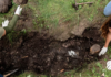 The discovery of clandestine graves in Colima has increased more than twentyfold.