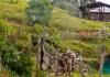Family murdered for refusing to sell their land in Guerrero; residents flee after attack by armed group.