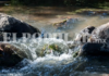 Collectives from Puebla and Tlaxcala demand a halt to pollution in the Upper Atoyac.