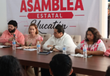 Somos México now has state leadership in Yucatán.