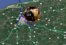 A year of crackdowns on fuel theft in Yucatán: figures revealing a rising crime