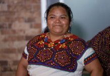 Festival of Huapango Kicks Off in Tepetzintla, Veracruz to Celebrate Indigenous Languages