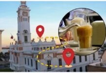Free Coffee and Heritage: Veracruz Launches Summer Cultural Bus Tours