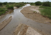 Highly toxic sites persist in the Sonora River 12 years after the spill.