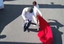 Nearly 1,000 March in Yucatán to Defend Bullfighting and Regional Traditions