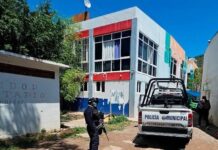 Crackdown in Guerrero: Federal and State Forces Detain Dozens Over Extortion and Uncredentialed Policing