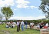 Queretaro Wine Harvest Season Boosts Vineyard Supply by 30 Percent and Expects 400 Million Pesos in Economic Impact