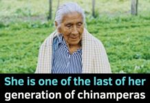 Guardians of the Ancient Mud: Doña Susana and the Last Chinamperas of Xochimilco