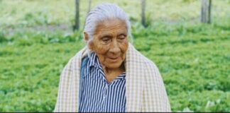 Guardians of the Ancient Mud: Doña Susana and the Last Chinamperas of Xochimilco