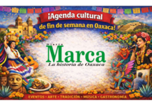 Oaxaca weekend cultural agenda!