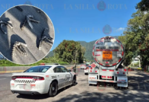 Operation launched on Orizaba-Puebla highway due to “tire-puncturing devices”