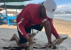 New Protocols for Coexistence with Crocodiles in Jalisco