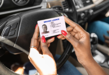 Permanent driver’s license in Veracruz: requirements, cost, and how to apply in September
