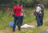Veracruz experiences a violent spell: at least eight dead and a child wounded in nearly 30 hours.