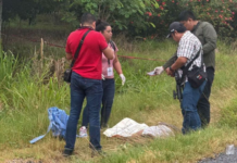 Veracruz experiences a violent spell: at least eight dead and a child wounded in nearly 30 hours.