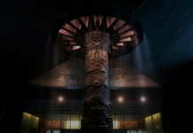 Mexico City’s oldest museums and the stories they hold