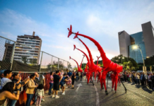 Guadalajara is a global cultural benchmark and is reclaiming public spaces.