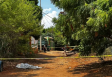 The woman murdered in Puerto Escondido was a merchant.