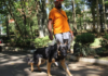 Argos arrived from Orizaba and changed Luis’s life: together they walk 30 blocks in Xalapa