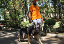 Argos arrived from Orizaba and changed Luis’s life: together they walk 30 blocks in Xalapa
