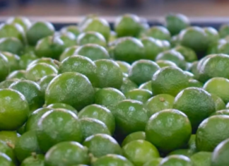 Tecomán business owners seek to bring local products to Europe.