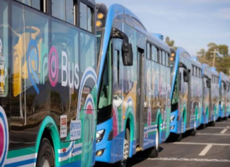 Querétaro’s public transport system nearly doubles its fleet in 5 years.
