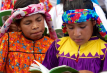 Linguistic Rights Law for Indigenous Peoples of SLP Approved