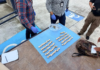 256 turtle eggs seized in Nayarit; PROFEPA seeks to save the hatchlings.