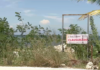 Profepa shuts down dune area damaged by machinery in Chabihau