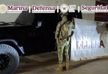 U.S. woman linked to arms trafficking for the Sinaloa Cartel arrested in Sonora