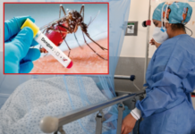September sees the worst week for dengue in Yucatán.