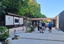 Tulum regains 8 international air routes and will tear down the Jaguar Park wall.