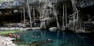Fragile underground world: in Yucatán, 98% of the surface is karst.