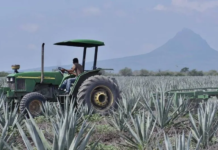 Tamaulipas, second state with the most economic growth in two years