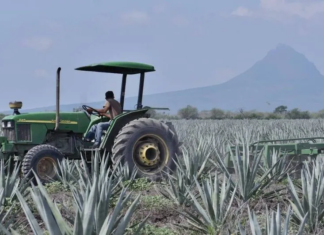 Tamaulipas, second state with the most economic growth in two years