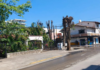 Outrage over tree felling in the Versalles neighborhood, north of Puerto Vallarta.