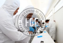 Forensic examiners in Yucatán receive over a thousand bodies: INEGI