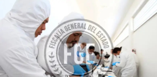 Forensic examiners in Yucatán receive over a thousand bodies: INEGI